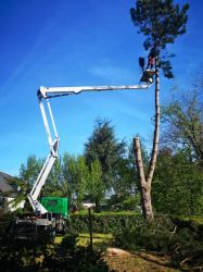 Elagage abattage arbre Quiberon